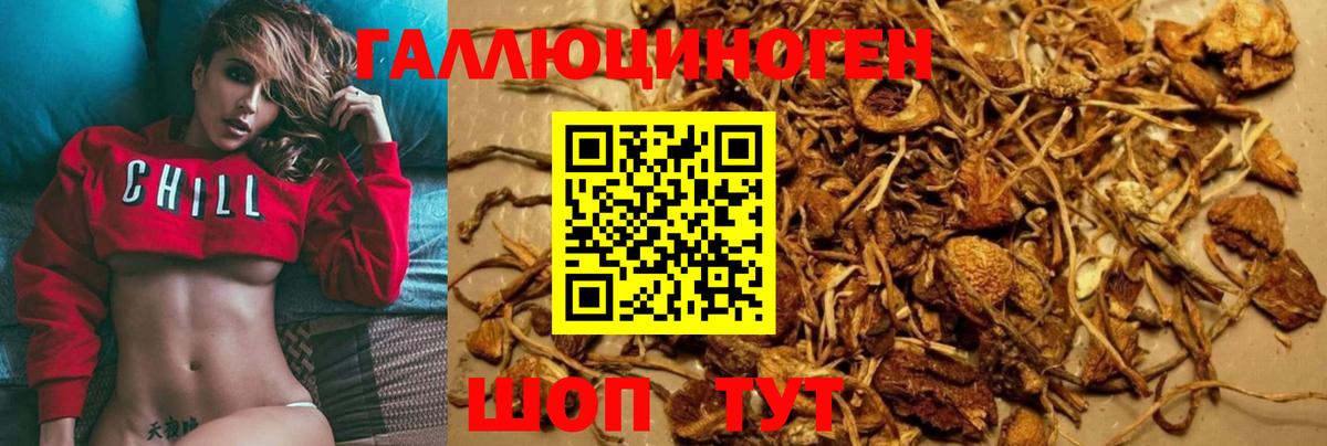 Тара  Псилоцибиновые грибы Magic Shrooms  Вход с VPN 