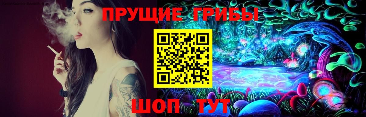 Галлюциногенные грибы Psilocybe Тара